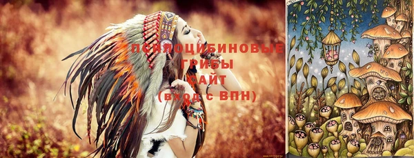 винт Абаза