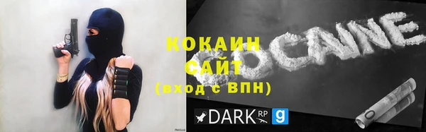 винт Абаза
