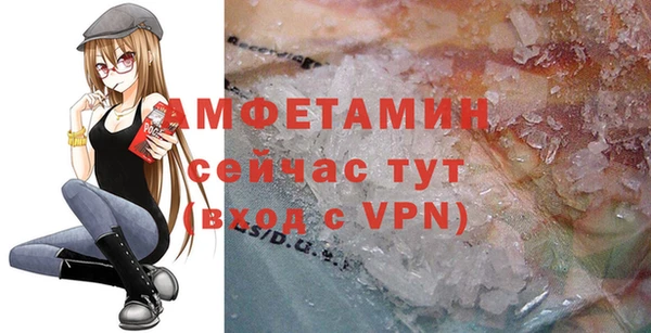 винт Абаза