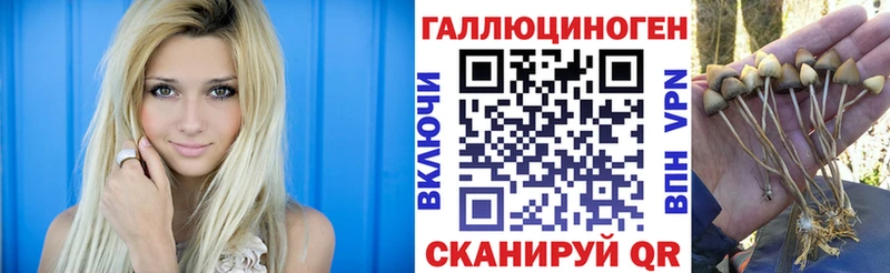 Галлюциногенные грибы прущие грибы  кракен онион  Нальчик 
